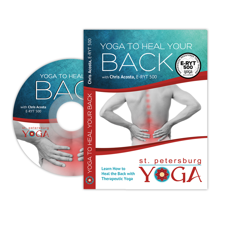 Black Aerial Yoga Inversion Swing + Yoga for Back Pain DVD
